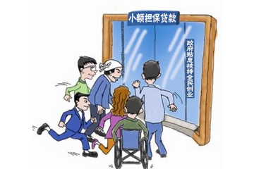 《武汉市高校毕业生小额担保贷款实施办法》